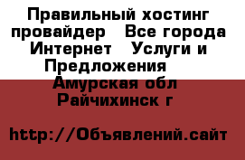 Правильный хостинг провайдер - Все города Интернет » Услуги и Предложения   . Амурская обл.,Райчихинск г.